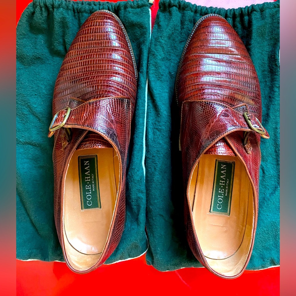 Cole Haan monk straps shoes. Size 8. Brown leather.